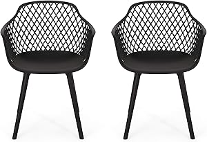Christopher Knight Home 312471 Delia Outdoor Dining Chair (Set of 2), Black