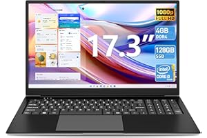 SGIN Laptop Computer, 17 inch Laptop with Intel Core i3-5005U Processor, 4GB DDR4, 128GB SSD, FHD 1920 * 1080 Display, WiFi, USB3.2, Type_C, 8000Wh Battery