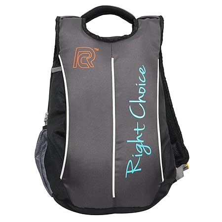Right Choice Unisex Nylon Casual Backpack (Grey)