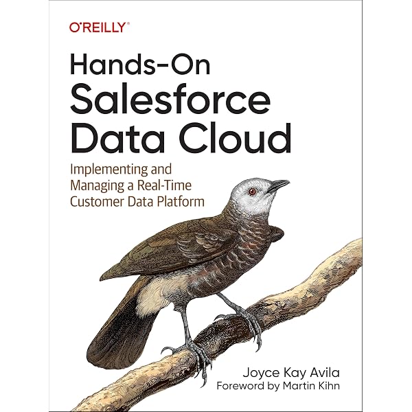 [希少&洋書]Salesforce Automating Salesforce Marketing Cloud: Reap all the benefits of