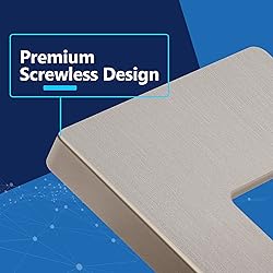 LIDER Brushed Finish Decorator Switch