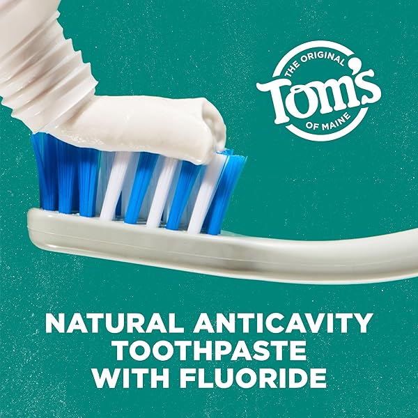 TOM’S OF MAINE WHOLE CARE NATURAL TOOTHPASTE WITH FLUORIDE, PEPPERMINT, 4 OZ. 3-PACK (PACKAGING MAY VARY)