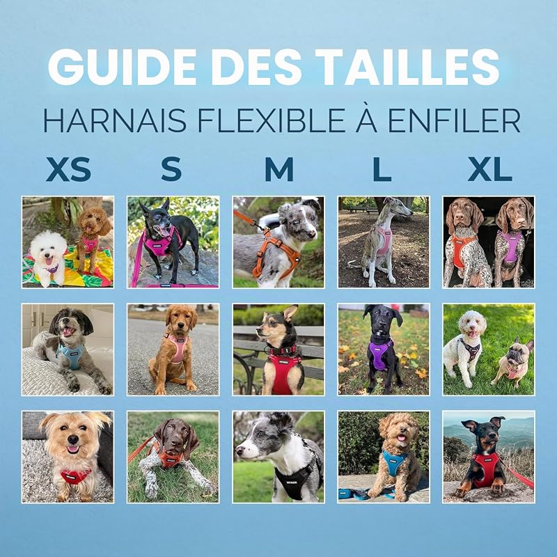 Harnais Voyager réfléchissant pour Chien, Taille L