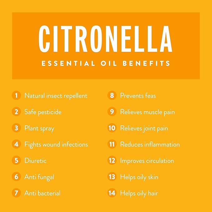 upnature la mejor Citronella Aceite Esencial 4 oz – puro sin ...
