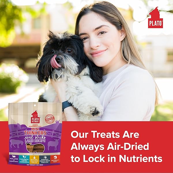 PLATO PET TREATS THINKERS – MEAT STICK TREATS FOR DOGS – LIMITED INGREDIENT DOG TREATS WITH EPA AND DHA TO SUPPORT SKIN, COAT, AND BRAIN – AIR-DRIED DOG TREATS – MINI THINKERS LAMB 3OZ