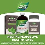 Nature's Way Chlorofresh Liquid Chlorophyll Internal Deodorant 16 fl oz view 7