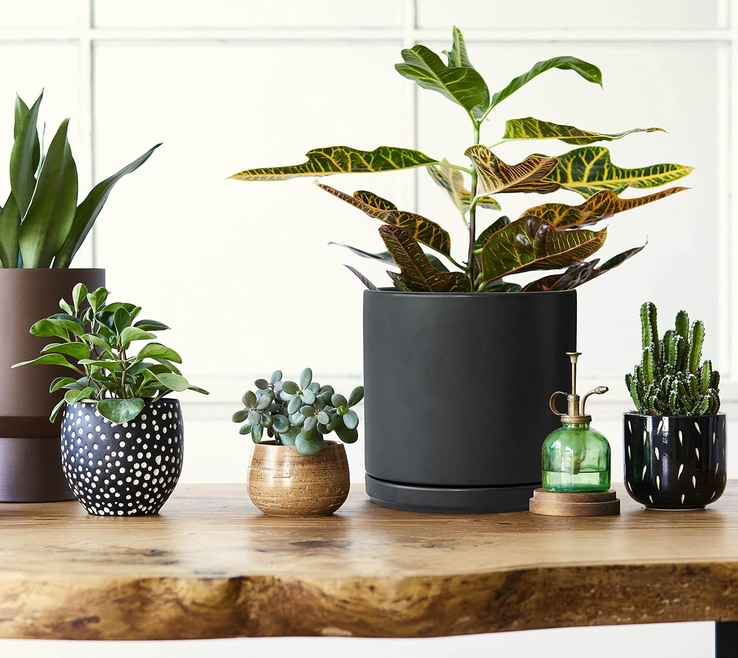 Ceramic Planter Pot with Drainage Hole and Saucer, Indoor Cylinder Round Planter Pot, 8 Inch, Black, 94-O-M-2 : Garden & Outdoor