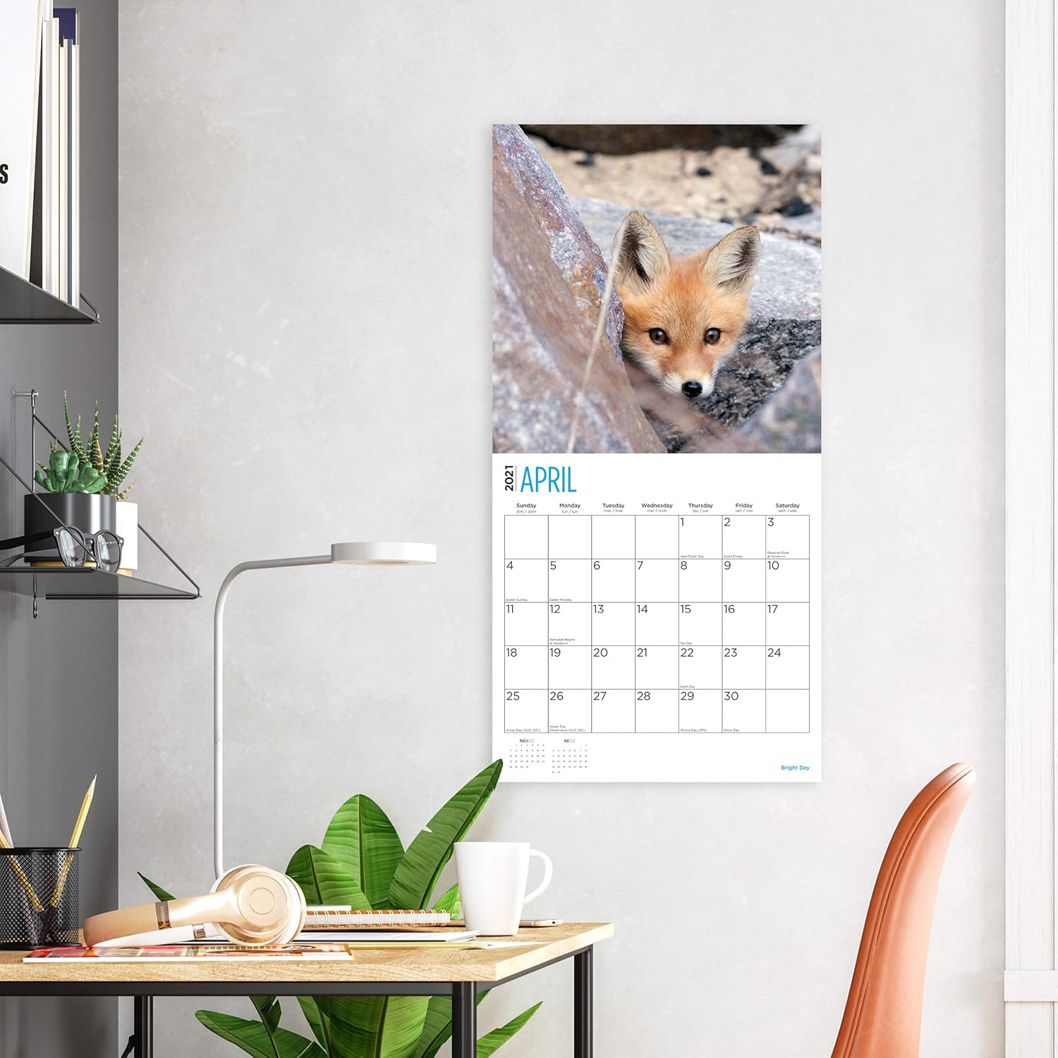 Amazon Bright Day Calendars 21赤ちゃんキツネ壁カレンダーによって明るい日 12 X 12インチ かわいい野生動物 アダルトカレンダー 文房具 オフィス用品