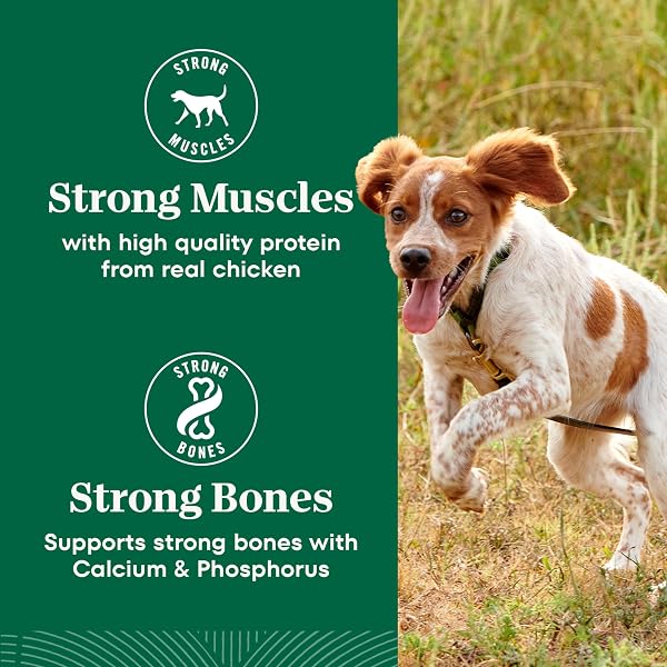 NUTRO NATURAL CHOICE SMALL BREED SENIOR DOG FOOD DRY CHICKEN & BROWN RICE RECIPE, DRY DOG FOOD SMALL BREED, 5 LB. BAG