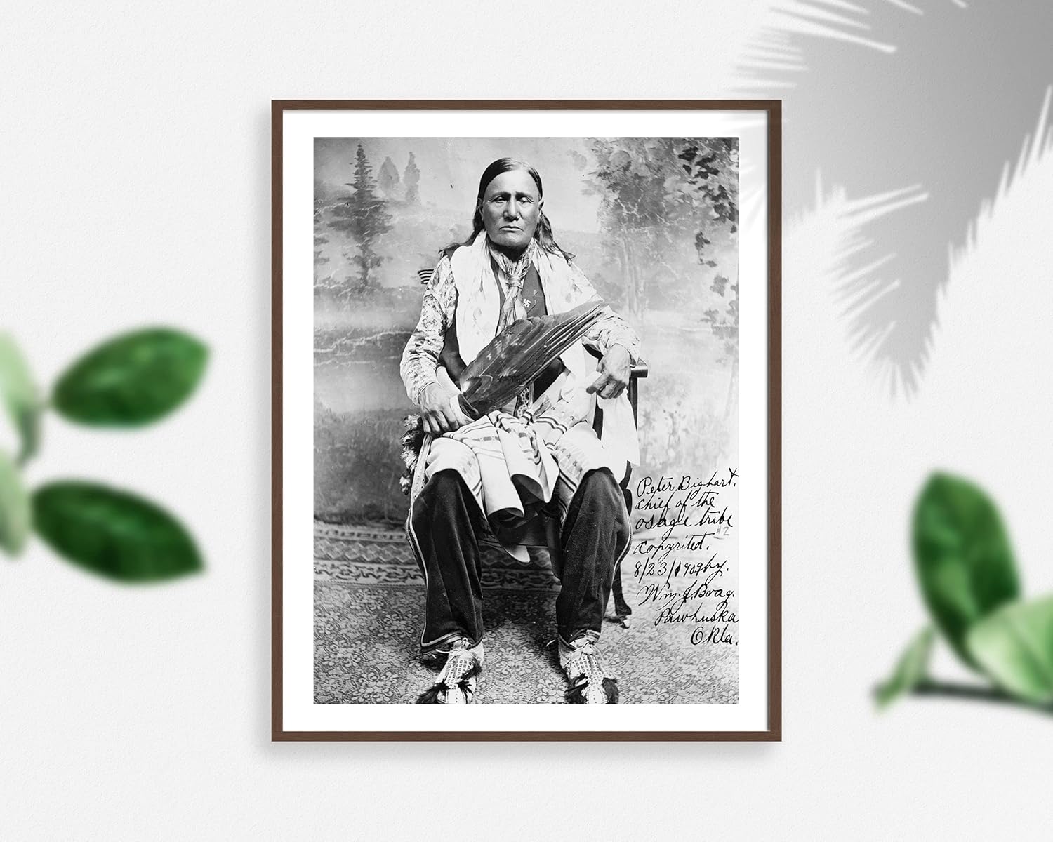 Photographs - INFINITE PHOTOGRAPHS Photo: Peter Bigheart, Chief of Osage Tribe, Indians of North America, c1909, Feathers