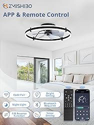 ZMISHIBO 24 Inch Ceiling Fans with Lights and