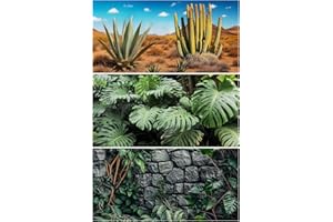 Helidrago 3 Pcs Reptile Background for Terrarium 40 Gallon, Bearded Dragon Tank Background 36x18 inches, Leopard Gecko Tank Accessories, Desert, Jungle, Rocky Style Terrarium Supplies Décor
