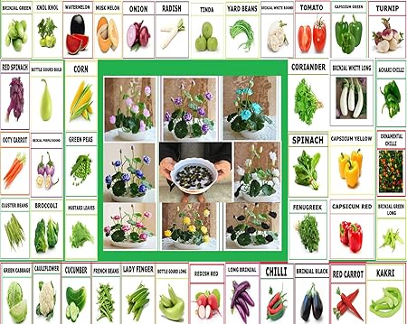 Punjab Organic Seeds Vegetable Seeds for Terrace and Kitchen Gardening -Combo Pack of 52
