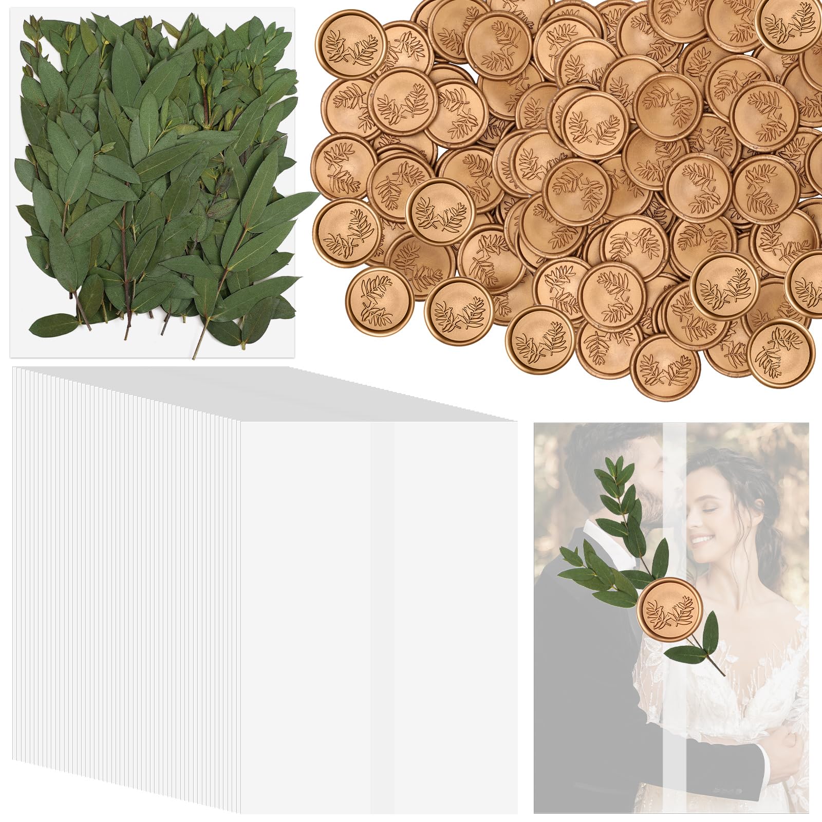 Photo 1 of Tigeen 50 Set Invitations Wraps Set Includes Pre Folded Vellum Jackets for 5 x 7 Invitations Dried Pressed Eucalyptus Leaves Eucalyptus Gold Wax Seal Stickers for Wedding DIY Craft Gift