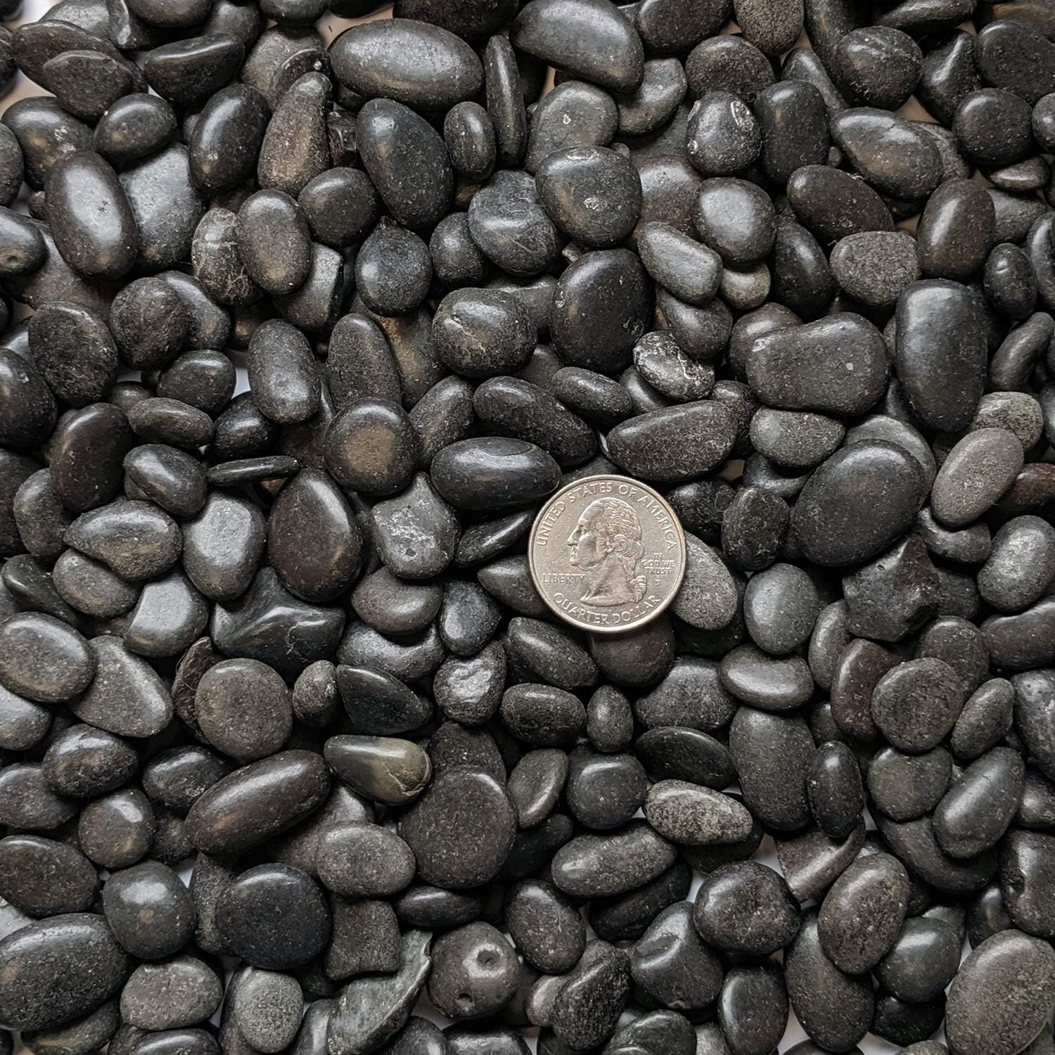 Midwest Hearth Natural Decorative Polished Black Pebbles 3/8" Gravel Size (2-lb Bag) : Garden & Outdoor
