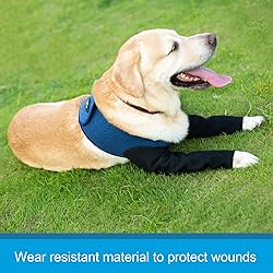 Coodeo Dog Recovery Sleeves, Cone Collar