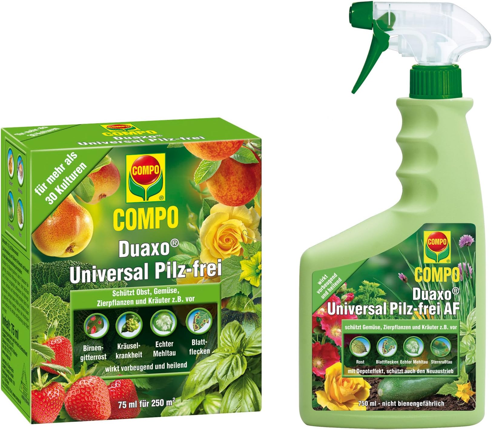 ® Compo Duaxo® Universal Mushroom Set of 2 with Oleander Oleander Station Yard Flyer
