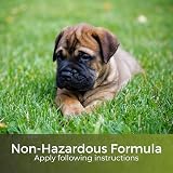 Garden Lawncare Guy Seed & Turf Feed - Pre Seeding Fertiliser view 4