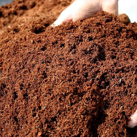 Vermicompost (Vermiculture) Effective and Complete Plant Food (5000)