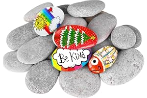 DOJOBKINB River Rocks for Painting 20 Pcs Large 2-3 Inch Flat Smooth Painting Stones Craft Rock to Paint for Kids Crafts Painting Bulk