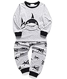 EULLA Toddler Boys Cotton Pjs Cute Dinosaur Shark