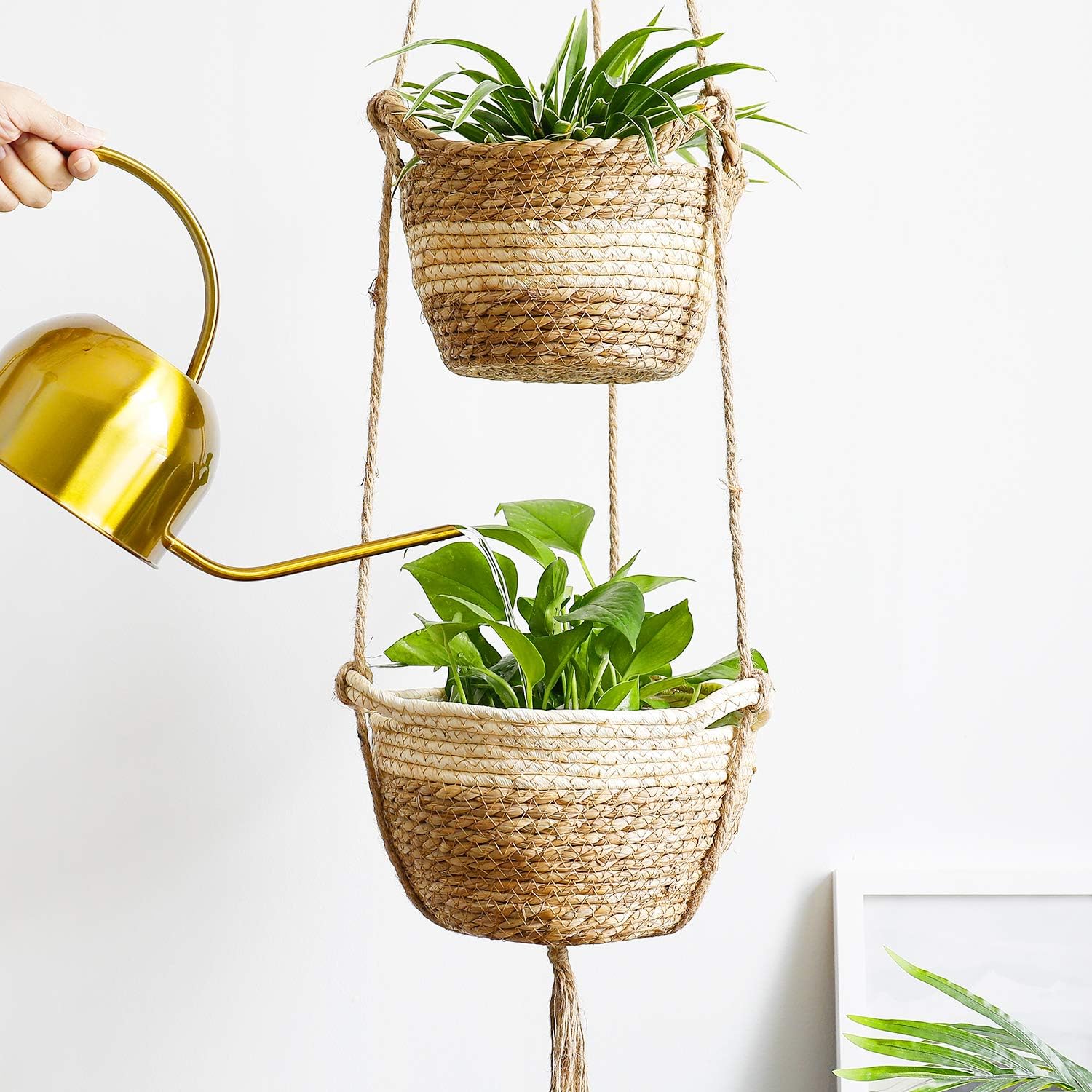Seagrass Hanging Planters Basket Indoor - Hanging Two Layers Natural Seagrass Basket Flower Pot Holder Containers Storage Organizer with Waterproof Plastic Liner, 53 Inch Long (Brown&Beige): Garden & Outdoor