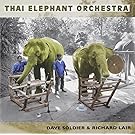 Thai Elephant Orchestra