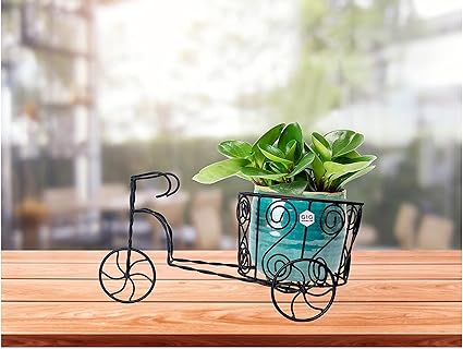 GIG Handicrafts Rickshaw Style Iron Wheel Planter Small Tabletop Planter Plant on Wheels and Floor Decorative Metal Rickshaw Planter Flower Planter Pot ( 35 cm x 17 cm x 17 cm, Black )