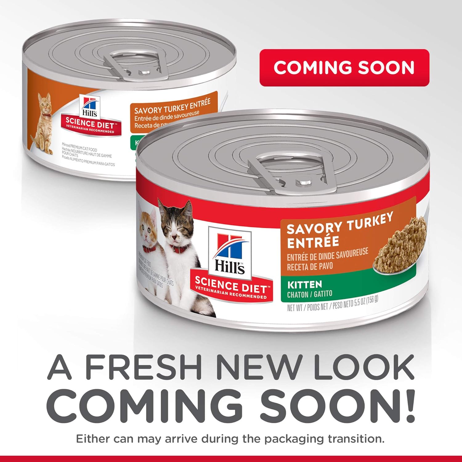 hills kitten wet food