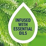 Harpic Active Fresh Mountain Pine Toilet Cleaner 750ml 12 Pack 9.0L view 6