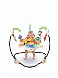 Fisher-Price Luv U Zoo Jumperoo, Infant Activity