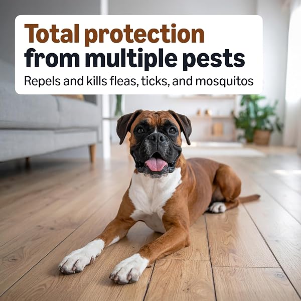 AMAZON BASICS PREVENTATIVE FLEA, TICK & MOSQUITO TOPICAL TREATMENT FOR LARGE DOGS (21-55 POUNDS), 6 COUNT, PACKAGING MAY VARY