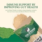 Yin & Yang Organic Lion's Mane Mushroom Powder 3 Month Supply view 4