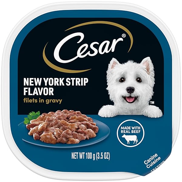 CESAR FILETS IN GRAVY ADULT WET DOG FOOD, NEW YORK STRIP FLAVOR, 3.5 OZ. TRAY