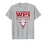WPI Engineers Mascot Heather Gray Officially