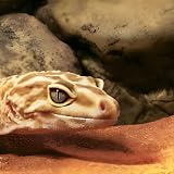 Exo Terra Reptile Den Extra Large Hide Cave Natural Terrarium view 5