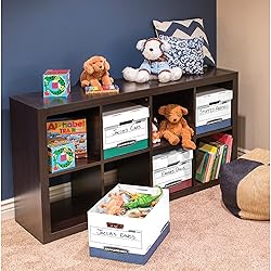 Bankers Box 12 Pack Box R-KIVE Heavy-Duty File