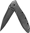 Kershaw Leek, BlackWash Pocket Knife (1660BLKW); 3” Sandvik 14C28N Steel Blade, 410 Stainless Steel Handle, BlackWash Finish, SpeedSafe Assisted Open, Frame and Tip Locks, Reversible Pocketclip; 3 OZ