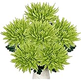 Hollyone 6Pcs Green Artificial Mums Flowers Spring Chrysanthemum Flowers 25.6" Long Stem Faux Spider Mum Flower Large Floral Arrangements Bouquets Fake Pincushion Silk Flower Home Decor