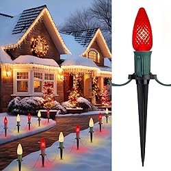 C9 LED Christmas String Lights Outdoor, 26 Feet 20
