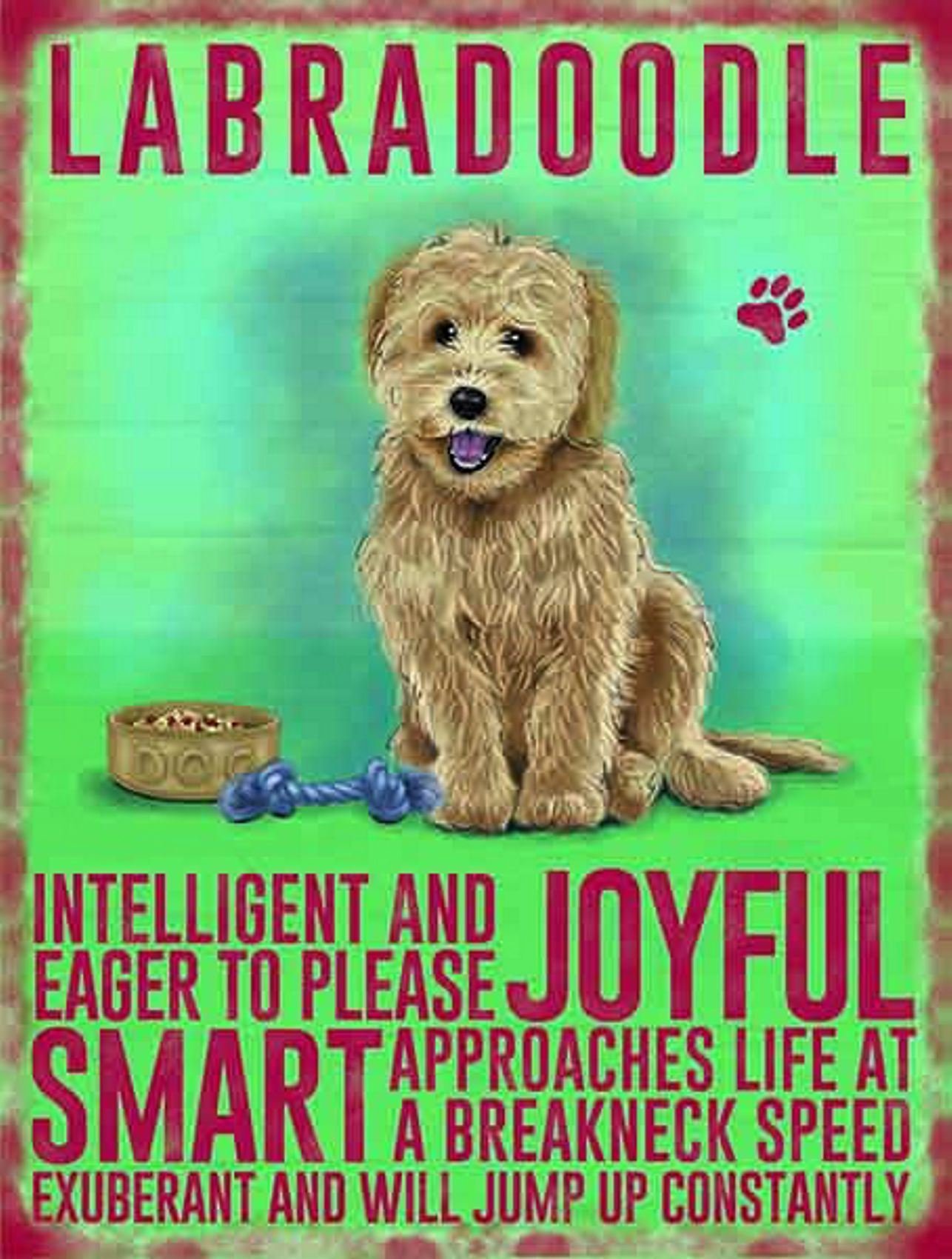 Vintage Style Retro Metal Sign Dog Lovers Owners Gift Tin Pedigree Dogs LABRADOODLE