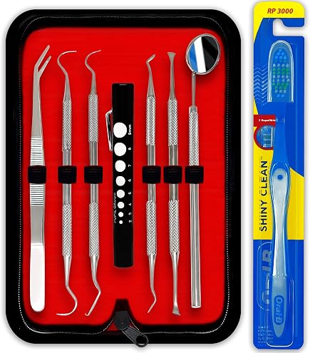 4pc Dental Hygiene Tool Kit – Tarter Scraper Scaler Set – Dentist Equipment PR-302
