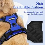 rabbitgoo Large Dog Harness No Pull Reflective Adjustable Blue XL view 3
