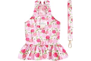 PETPUBGNZS Small Dog Dress Harness and Leash Set Cute Princess Birthday Dog Dresses Soft Fruit Print Puppy Dresses Girl Dog Clothes for Small Dogs Cats Chihuahua Yorkie Shih Tzu (Pink Apple,M)