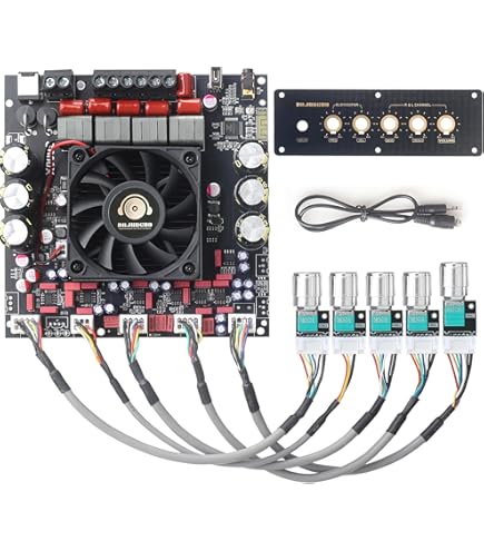 Amazon.com: Two-Channel L15DX2 IRS2092 Class D Power