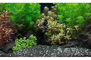Riivvdise Aquarium Background Exquisite Underwater Grass Leaves with Pebbles Fish Tank Background Vivid Green Aquatic Plant Stone with Dead Woods Leaves Terrarium Wallpaper 30x12in