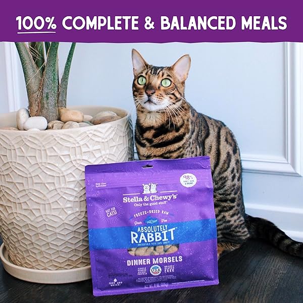 STELLA & CHEWY’S FREEZE-DRIED RAW CAT DINNER MORSELS – PREMIUM RABBIT RECIPE WITH 98% RESPONSIBLY-SOURCED MEAT & ORGANS – NATURAL GRAIN-FREE CAT & KITTEN FOOD – MADE IN USA – 3.5 OZ