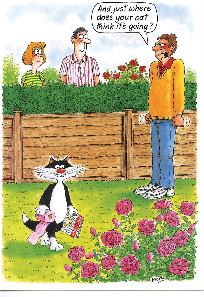 Greeting Card (LD2719) - Humour/Birthday - Toilet Trained Cat