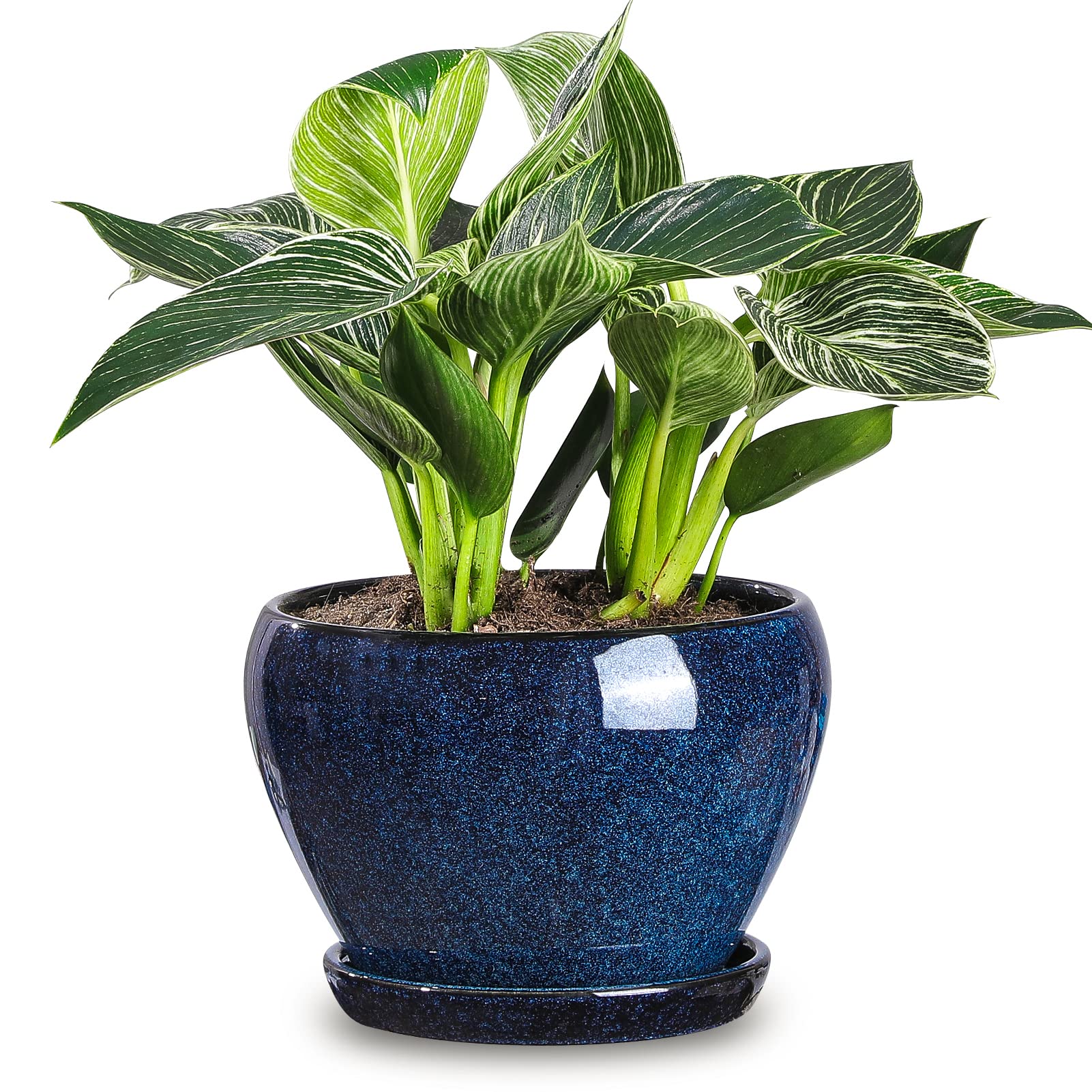 vicrays Ceramic Plant Pots Indoor - 6.5 Inch Planter Pot with Drainage Hole and Saucer for Succulent Orchid Flower Herbs Cactus - Ideal for Gardening Home Desktop Office Decor - Blue