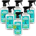 Aunt Fannie's All Purpose Household Cleaner, Multi-surface Spray Cleaner, Powered by Vinegar for Kitchen, Bath, Windows and Countertops, Eucalyptus Scent (Pack of 6) Packaging May Vary